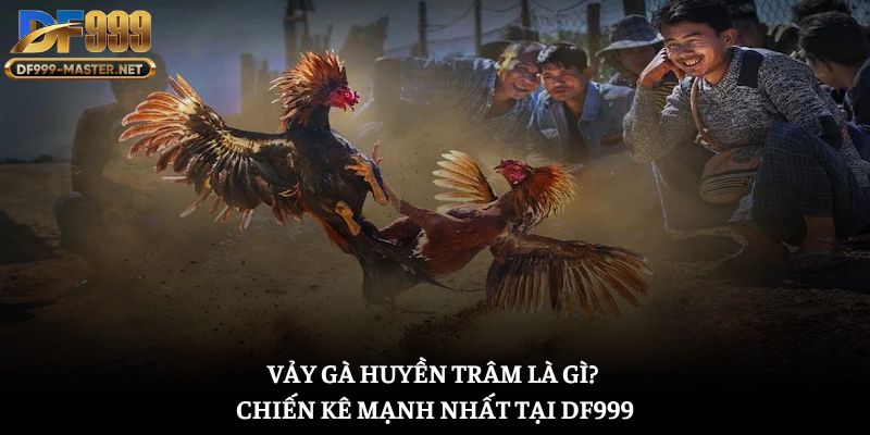 vay-ga-huyen-tram