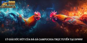 da-ga-campuchia