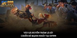 vay-ga-huyen-tram